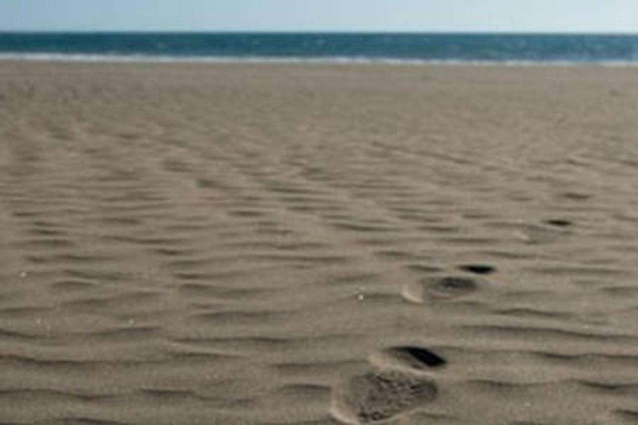 Primera Linea De Playa De Las Burras San Agustin  Exterior photo